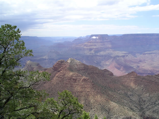 images/B-Navajo Point-Canyon View.jpg